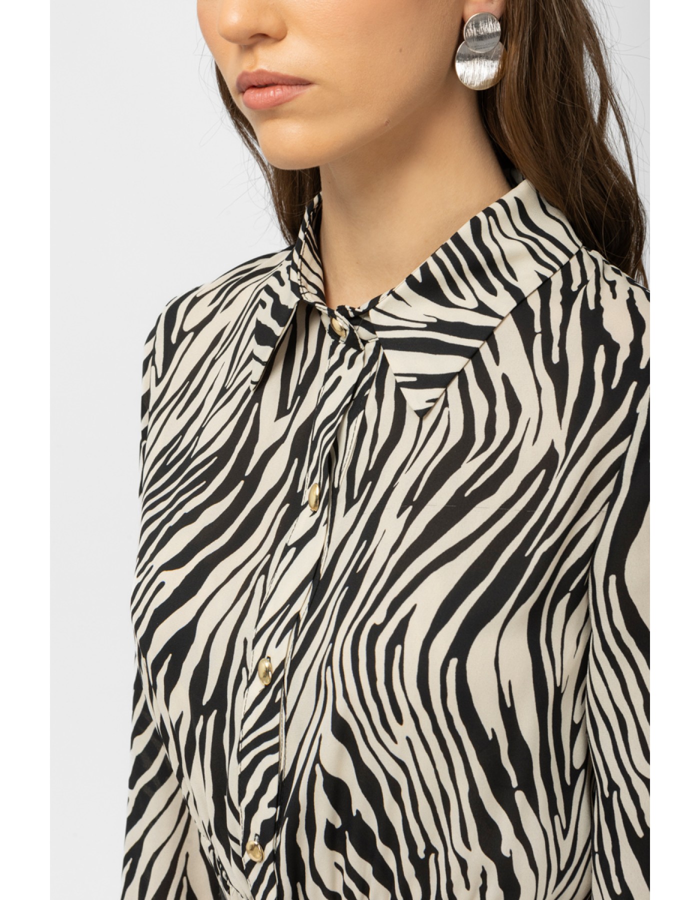 Φόρεμα Zebra διαφάνεια λάστιχο Φόρεμα Zebra διαφάνεια λάστιχο