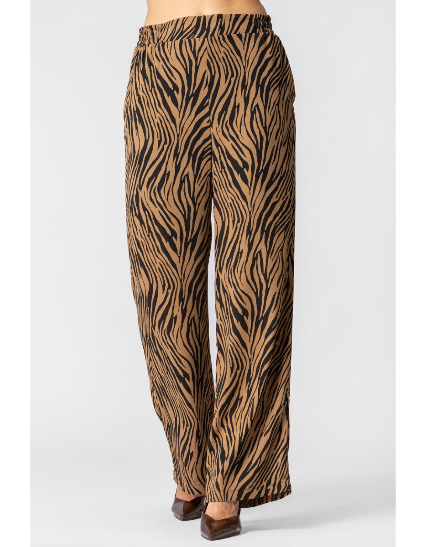 Παντελόνι Ζέβρα_διαφάνεια
