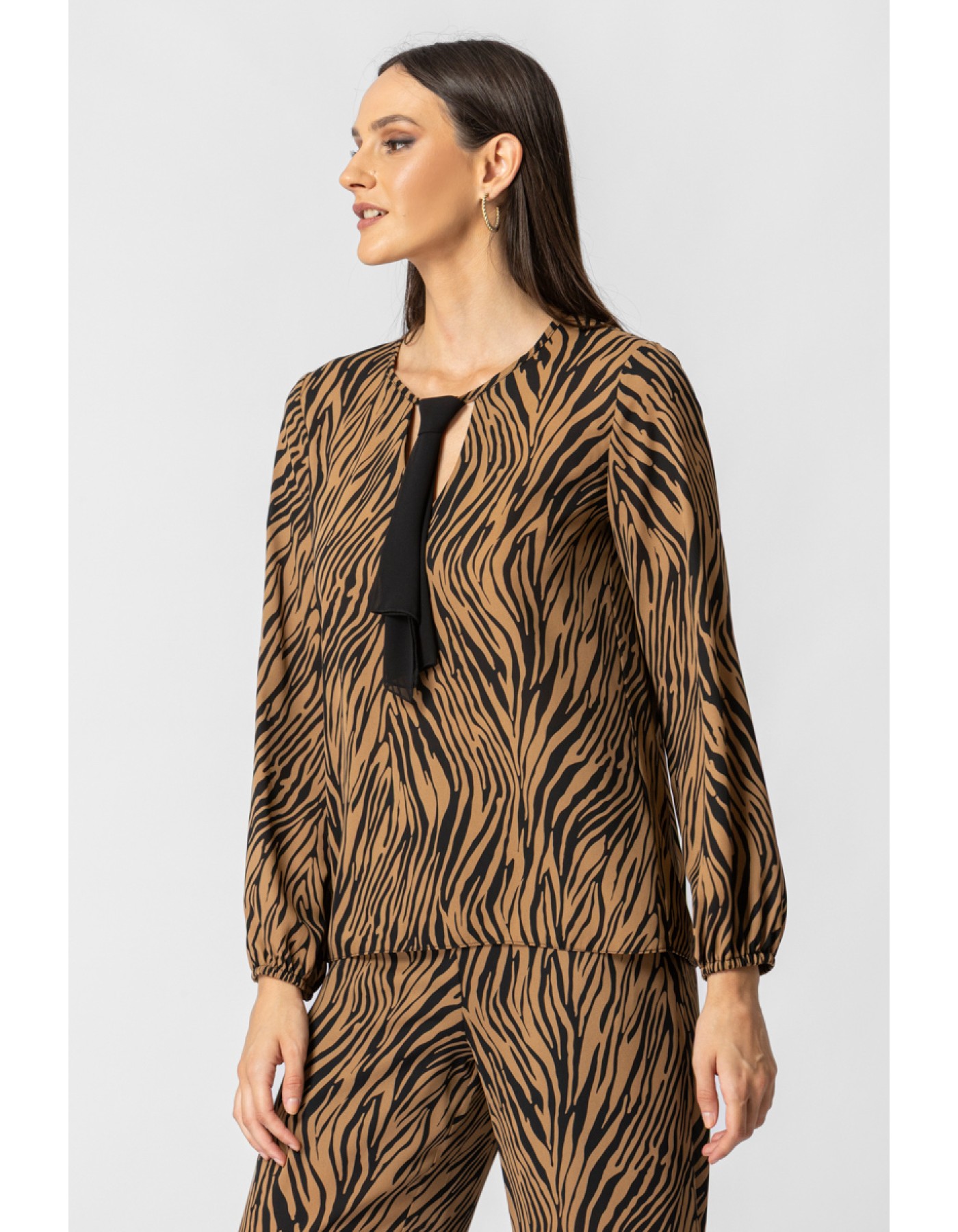 Μπλούζα διαφάνεια ζέβρα φουλάρι Μπλούζα διαφάνεια ζέβρα φουλάρι